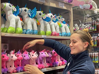 Hôte(sse) d’accueil, vendeur(se) boutique souvenirs F/H